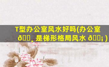 T型办公室风水好吗(办公室 🕸 是梯形格局风水 🐡 )